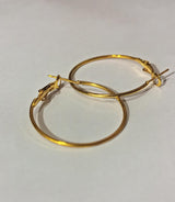 Golden Small Big Circle Women Hoop Earrings Exaggerated Hoop Ear Loop Smooth Ring Round Earring Stainless Steel Jewelry eg10gdc2b-4
