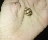 GIVA Classic Silver and golden Zircon Pendant With Chain nkfrsra4j-6
