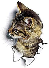 3D Hole Pop Out Cat Vivid Smashed Toilet Decal Wall sticker Bathroom Kicthen Decorative Decals Animals Poster PVC size 20x20cm dz2001