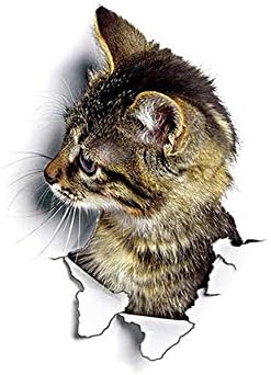 3D Hole Pop Out Cat Vivid Smashed Toilet Decal Wall sticker Bathroom Kicthen Decorative Decals Animals Poster PVC size 20x20cm dz2001
