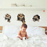 3PCS 3D Cats Wall Sticker Cartoon Animal Hole View Decals Removable DIY Decoration Pet Love for Baby Kids Nursery Room Kitchen Living Room Bedroom Bathroom size 50x70 sk6071