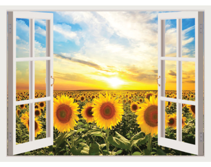 IMPRESSIVE 3D WINDOW WALL DECALS, REMOVABLE WALL STICKERS, WALL DECOR size 60x90  xh0996c
