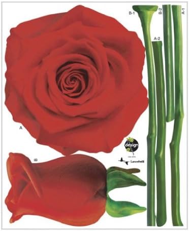 Scanpart reach Rose size 32x58 TC929
