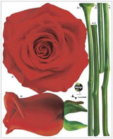 Scanpart reach Rose size 32x58 TC929