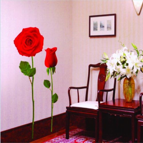 Scanpart reach Rose size 32x58 TC929