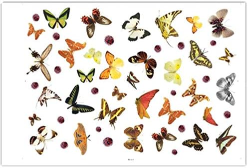 Butterfly Wall Stickers Art Decal Satin Paper Butterflies Home DIY Decor Removable Wall Decor size  50x70cm Ncs007