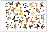 Butterfly Wall Stickers Art Decal Satin Paper Butterflies Home DIY Decor Removable Wall Decor size  50x70cm Ncs007