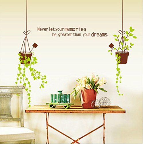 SYGA DIY Modern Home Decor Hanging Pot Wall Stickers Decals Design  size 60x90 jm8331