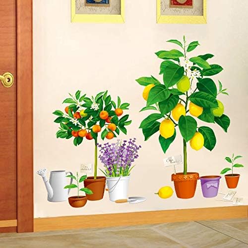 Creative new fruit tree potted Xh9304