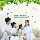 Large removable wall stickers Spring life green leaves art decal PVC environmental Home decoration Living room Sitting room Sofa TV background size 60x90 am081