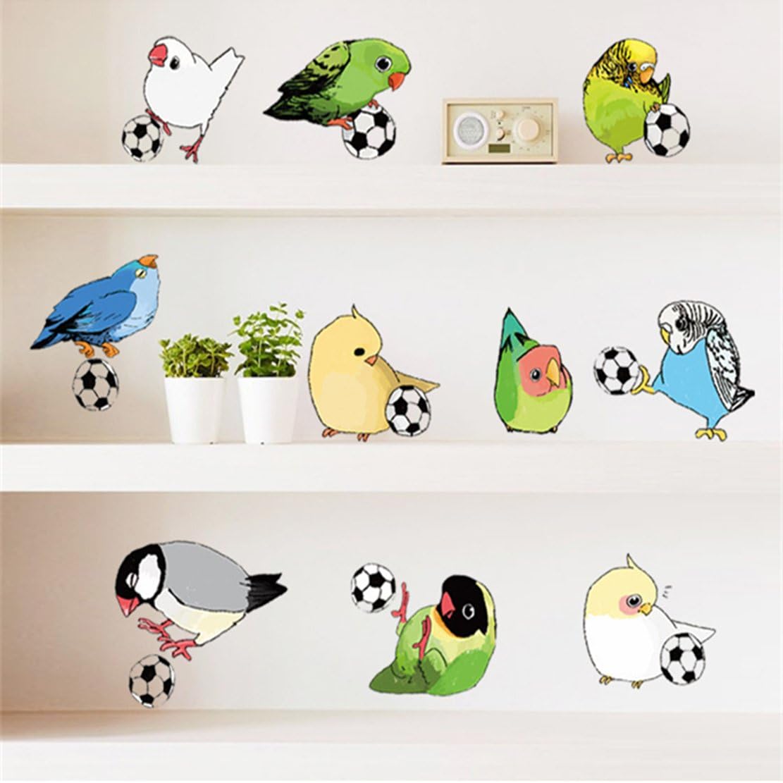 Interior color sticker "Parrots and a soccer ball" size 50x70 cm mj7015