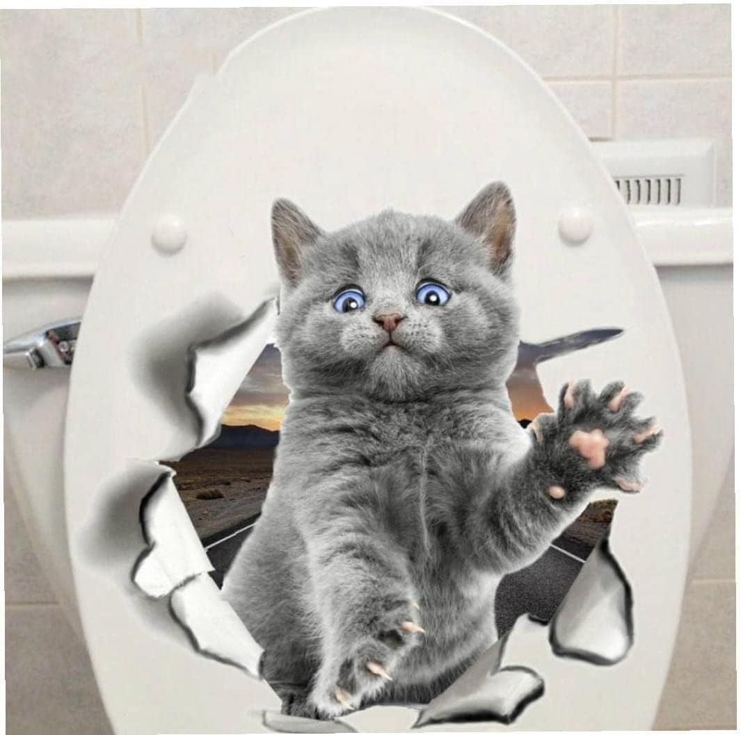 3D Cat Stickers Wall Decals Animal Light For Wall Fridge Toilet Room Bathroom size 20x20cm xp2011