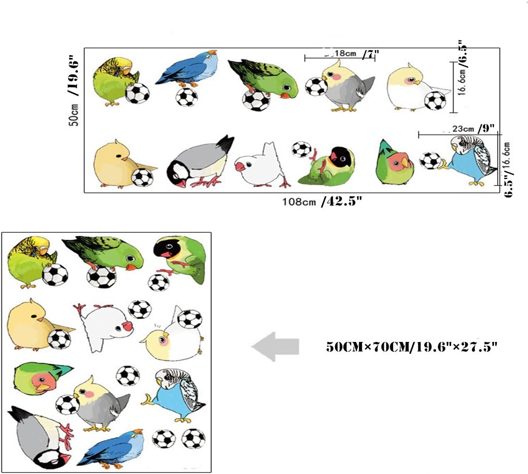 Interior color sticker "Parrots and a soccer ball" size 50x70 cm mj7015