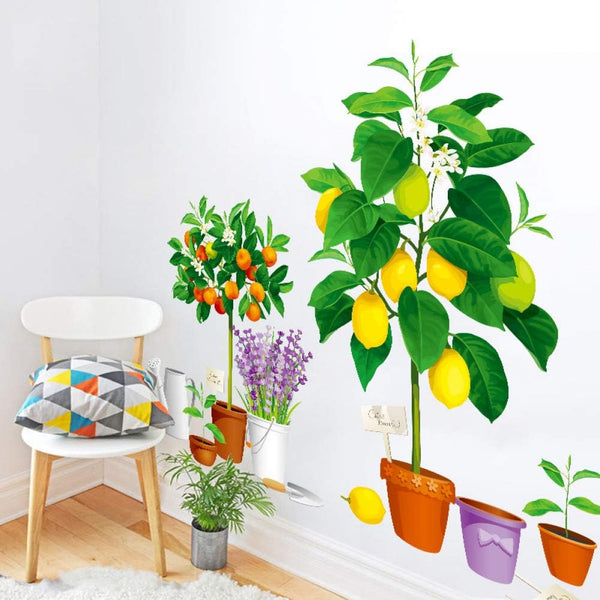 Creative new fruit tree potted Xh9304