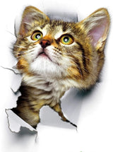 3D Hole Pop Out Cat Vivid Smashed Toilet Decal Wall sticker Bathroom Kicthen Decorative Decals Animals Poster PVC size 20x20cm dz2001