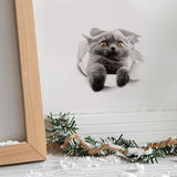 2Pcs 3D Grey Fat Cat Sticker For Car Sticker Kitchen Cabinet Toilet Refrigerator Wall Laptop Decal Funny Car Bumper Sticker 20Cm Car Stickers size 20x20cm xh2007