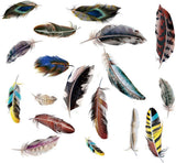 Lichi DIY Dream Feathers Wall Sticker for Home Room Decor size 50x70 sk7086