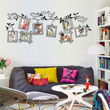 AY9136 cartoon black bird photo photo stickers stickers wallpaper wallpaper English