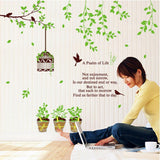 AY9035 Family Of Tree Wall Sticker