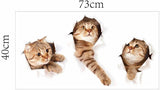 3D Cute Cat Wall Stickers xh6215