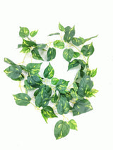 Green leaves bail Greenhome Plant Simulated Wide Application Plastic Decorative Green Vine Decor for Home