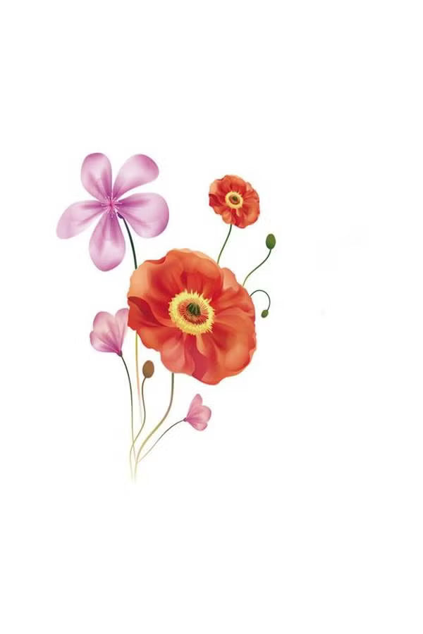 Poppy Wall Sticker, Flower, Leaf, Flower Sticker, Interior Sticker size 60x90 jm8237