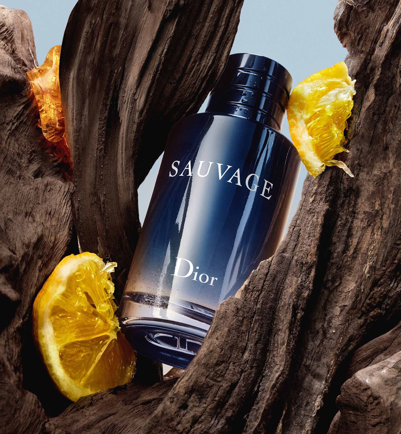 Dior Sauvage EDP 100 ml Sauvage Perfume Long-Lasting  Fragrance for Daily Wear and Special Occasions
