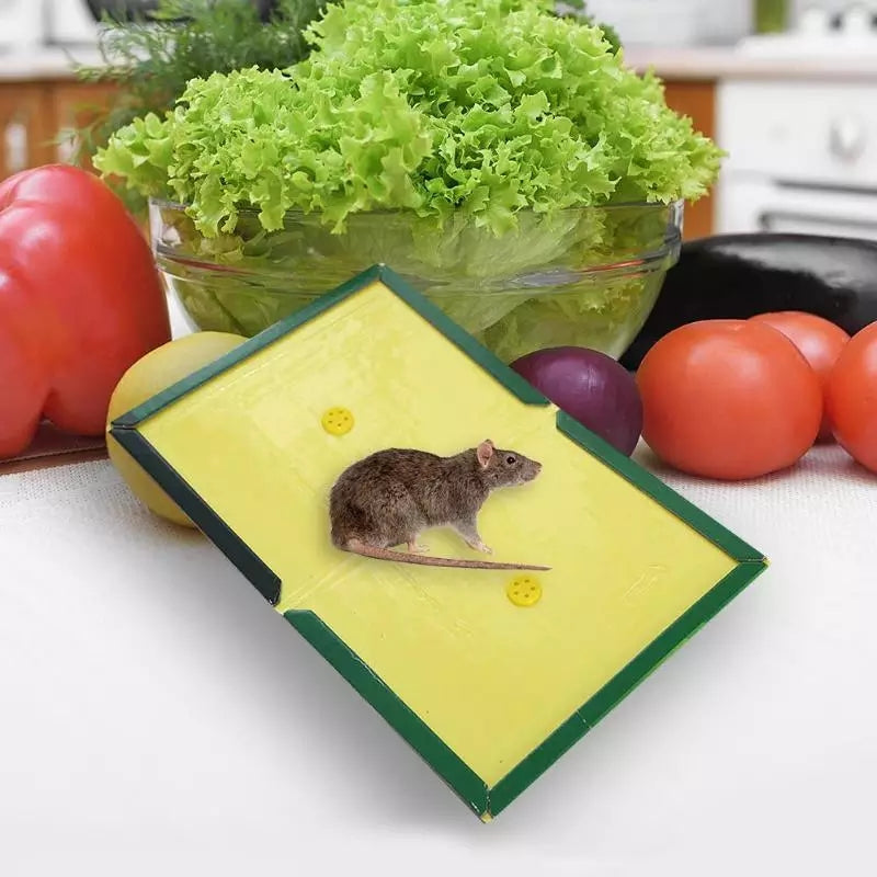 Mouse and Rat Glue Board  (Book Type)