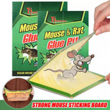 Reusable Expert Catch Mouse &amp; Rat Glue Catch Trap
