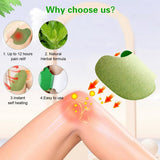pack of 12  Knee Pain Relief Patch