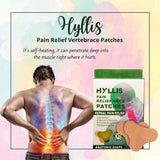 HYLLIS Pain Relief Patches - 10 Neck Pain Patches / Safe &amp; Natural Neck &amp; Back Pain Relief Products
