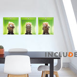 Wall Stickers for 3 Windows - Bear Teddy Dancing Plush Toy - Fluffy Bear - Trick Art - 3D Art - Cute 3 pices z-006