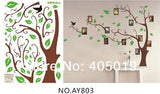 DIY transparent PVC wall stickers ]Abrown tree photo series of three generations of wall stickers wall stickers size  60x90 ay803