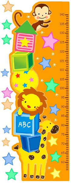 HEIGHT MEASUREMENT wall sticker up to 165cm pattern 3 size 25x70 dms0003
