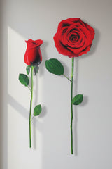 RED ROSE WALL DECAL REMOVABLE 24" x 13" WASHABLE CAN REPOSITION new SEE PICS