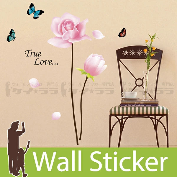 Adorable Home Decor PVC Wall Sticker size  30x50cm tc972