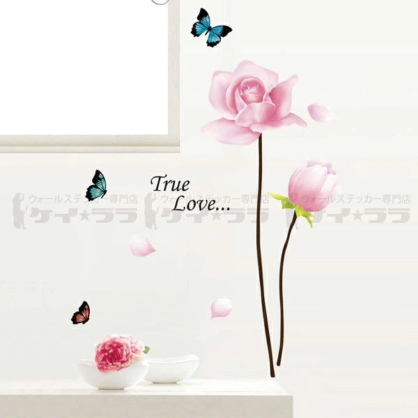 Adorable Home Decor PVC Wall Sticker size  30x50cm tc972