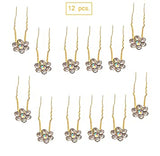 Pair Flower hair styling pins hnfrgrd3b-1