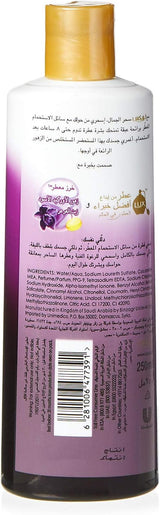 Lux Botanicals Body Wash with Vitamin C Essence - lbmopez1d-h