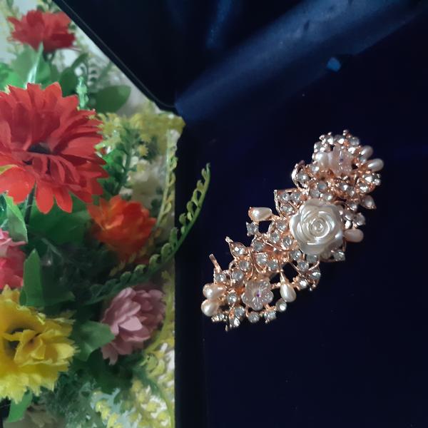 Style Fashion Women Girls Acrylic Hair Claws Hair Clips Headwear Transparent Big Size Women Hair Accessories Ornament hpfrgdd5j-1