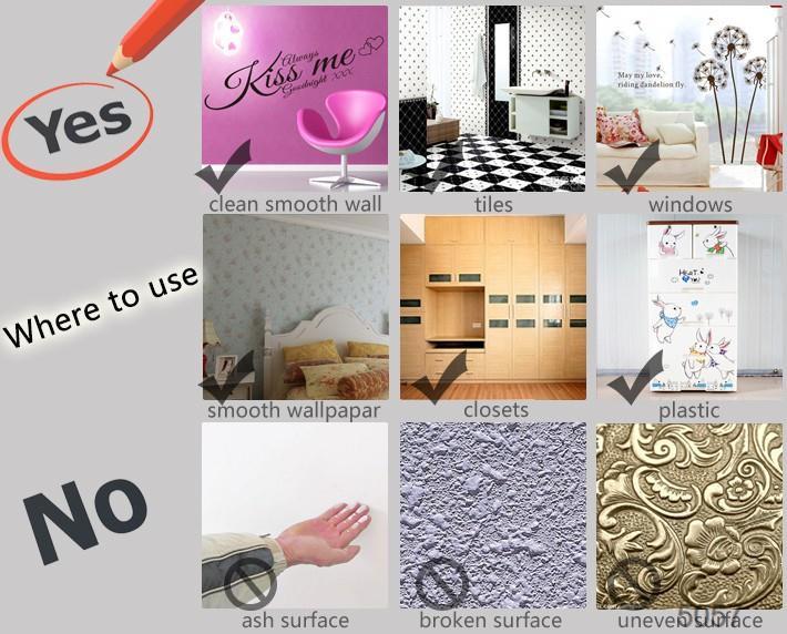 3D Wall Stickers SK9020F