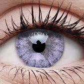 Pair of Eye Contact Lenses For Daily Use csfrgyt1d-1